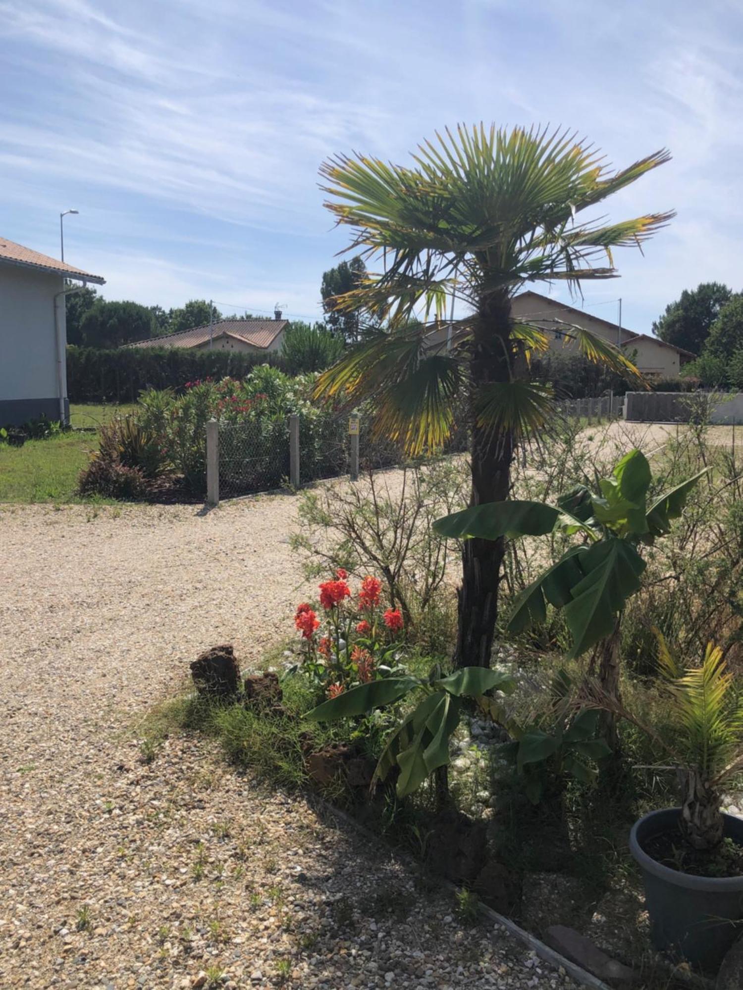 "Les Logis D'Argent" Chambre D'Hote Avec Wc, Sdb, Tv, Wifi, Option Petit Dejeuner , Parking Mimizan-Plage Zewnętrze zdjęcie
